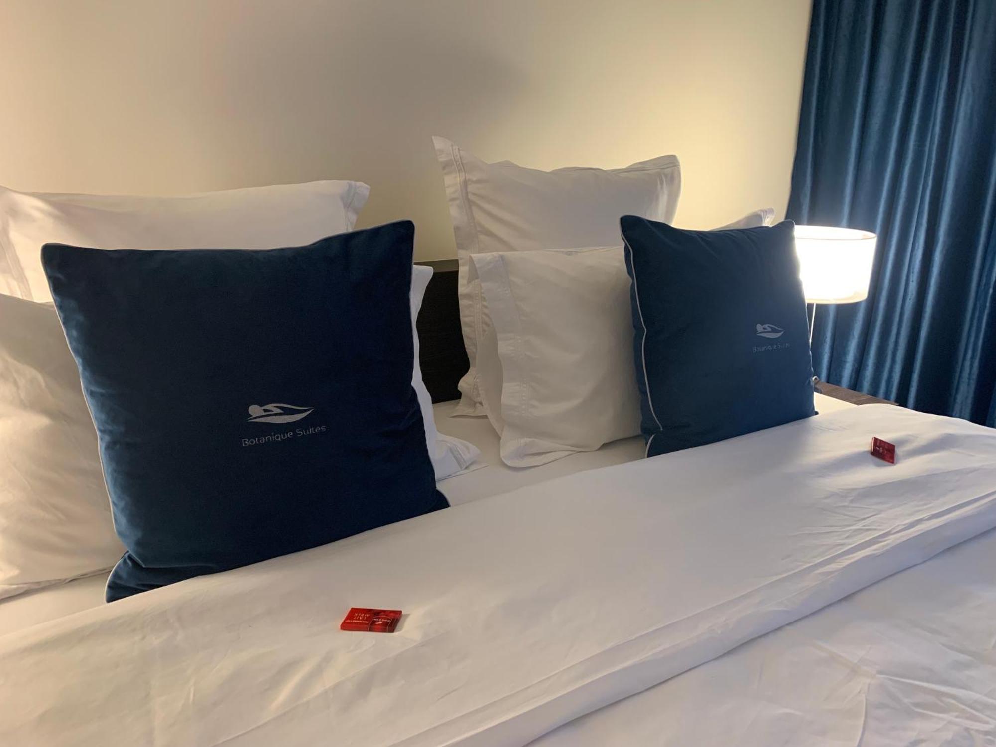 Botanique Suites Airbnb, אנטוורפן מראה חיצוני תמונה